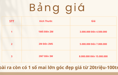 Cho thuê mai tết - Miễn Phí Vận Chuyển