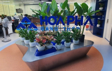 Chăm sóc cây xanh