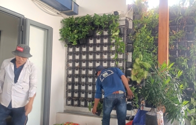 Thiết kế & Thi công cảnh quan